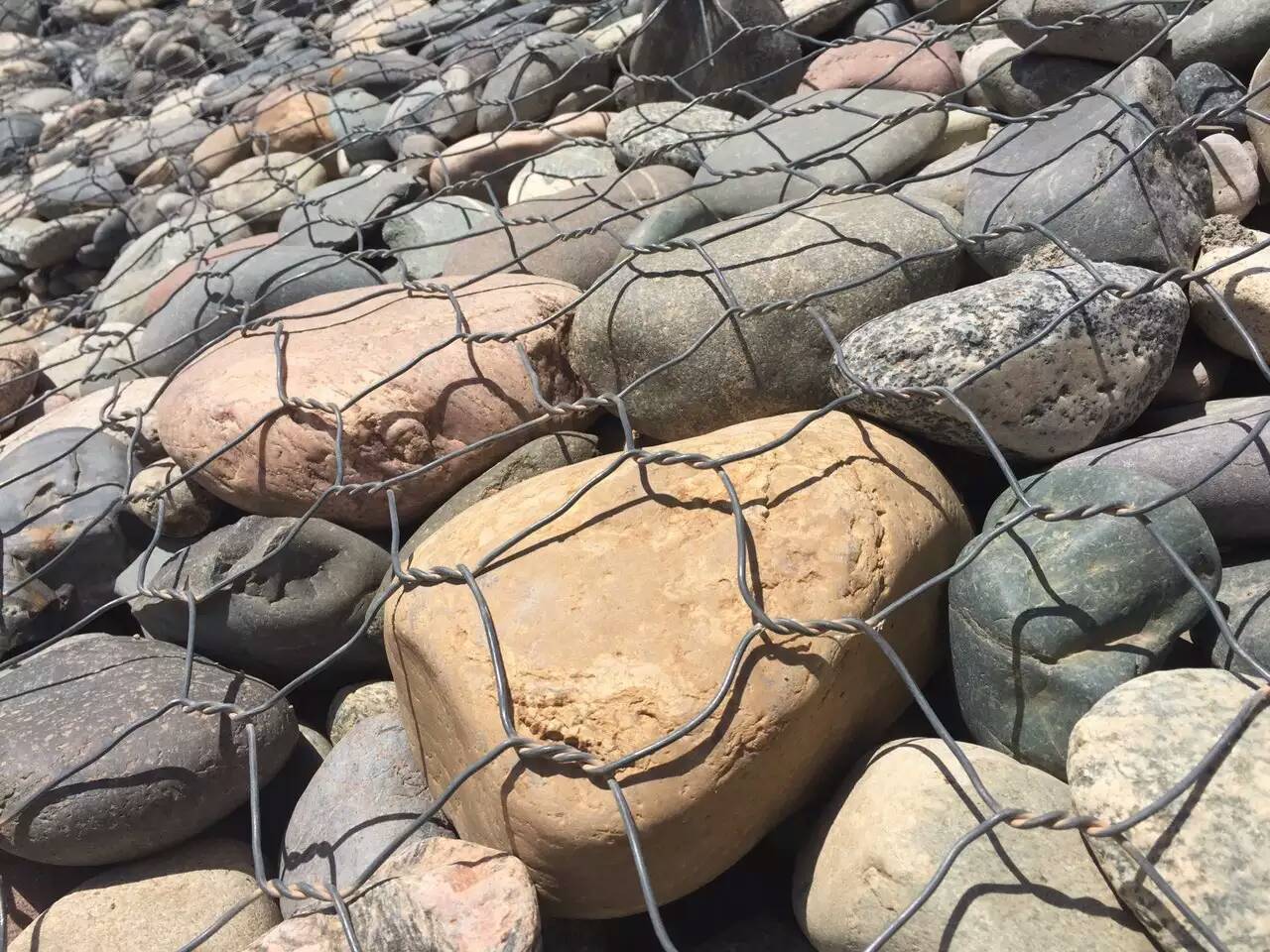 �ӵ��o���o���������e�W�ļ��g����