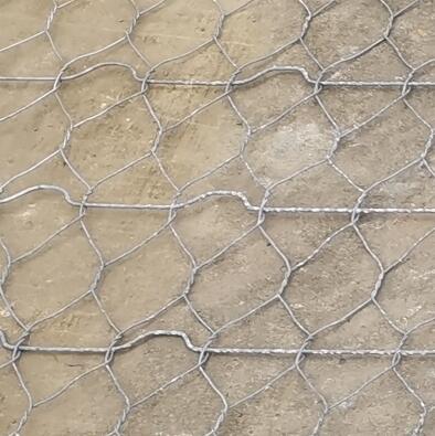 ����·��ӽ�W