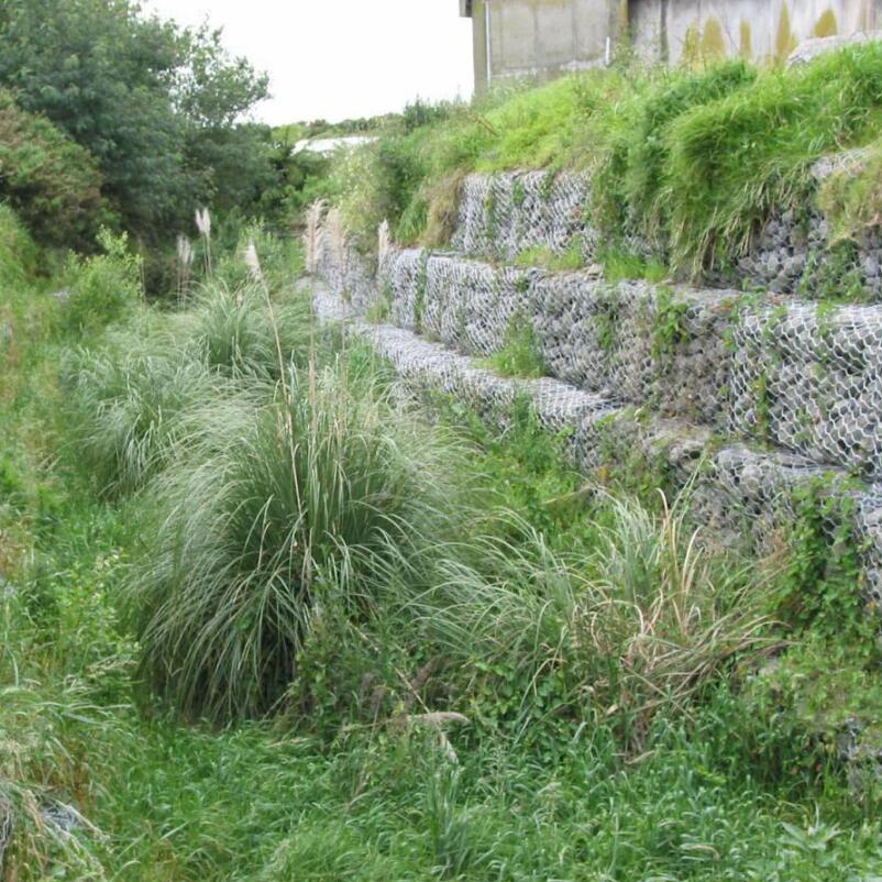 ���B���eʯ�\