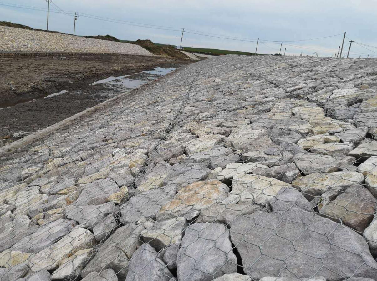 ���e�W�o�S��15531868633