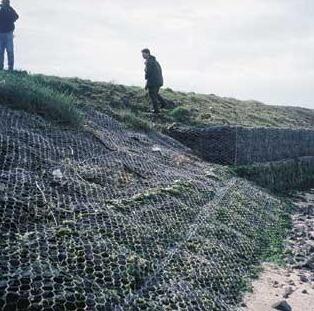 ���e�W(w��ng)�o�S��