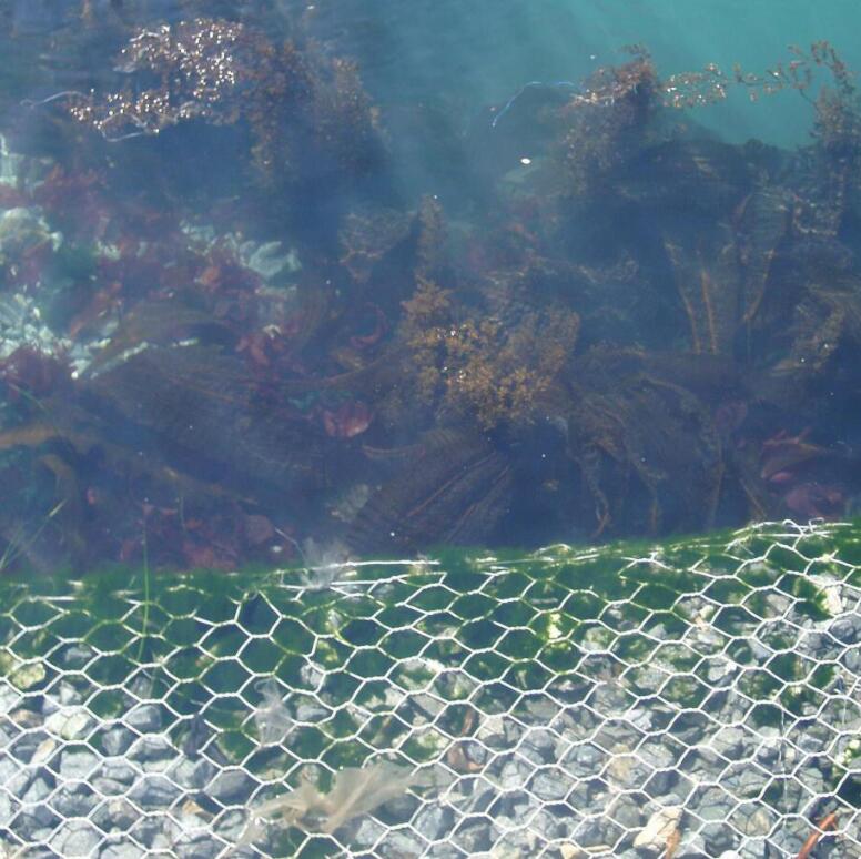 ʯ�\�����S�Үa(ch��n)Ʒ