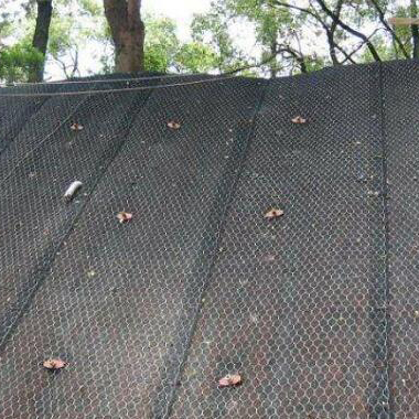 �ӽ����ˉ|15531868633