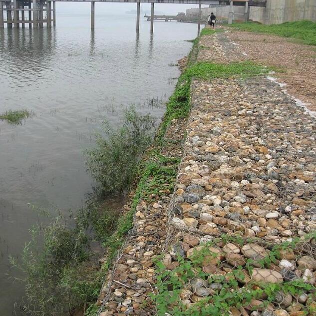 ���B��W�G�I�|