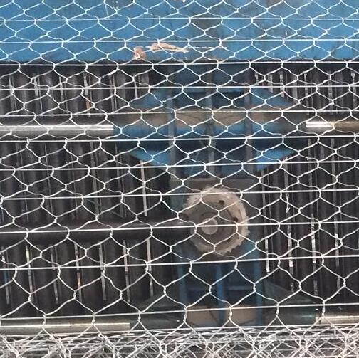 ·��ӽ�W�r��