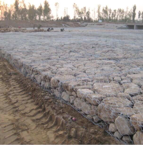 �o���̞I�\