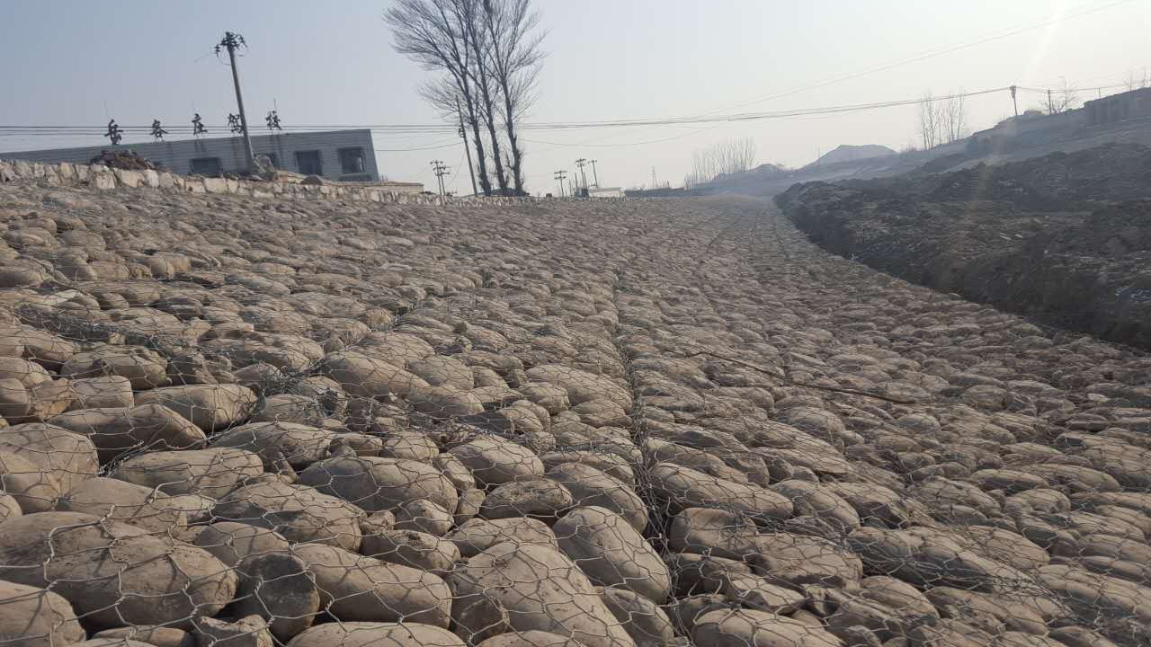 ����ʯ�\���e�W(w��ng)�S��